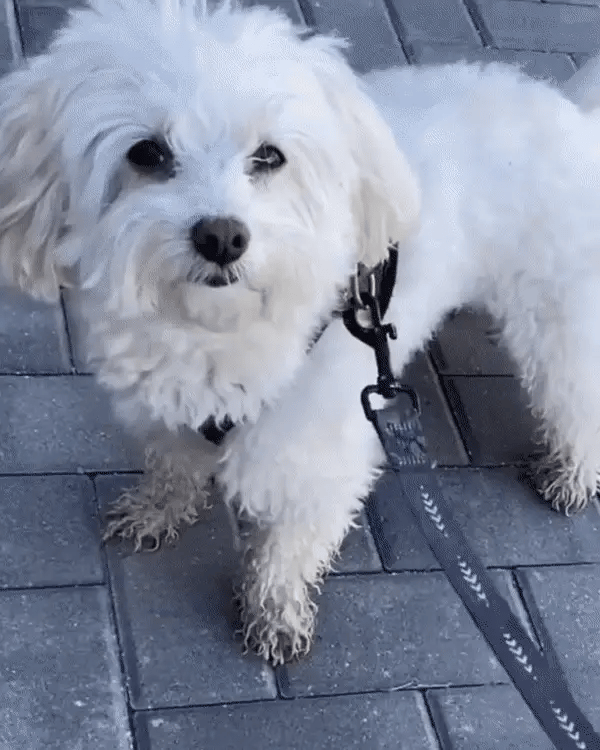 The Hidden Dirt That Hurts”