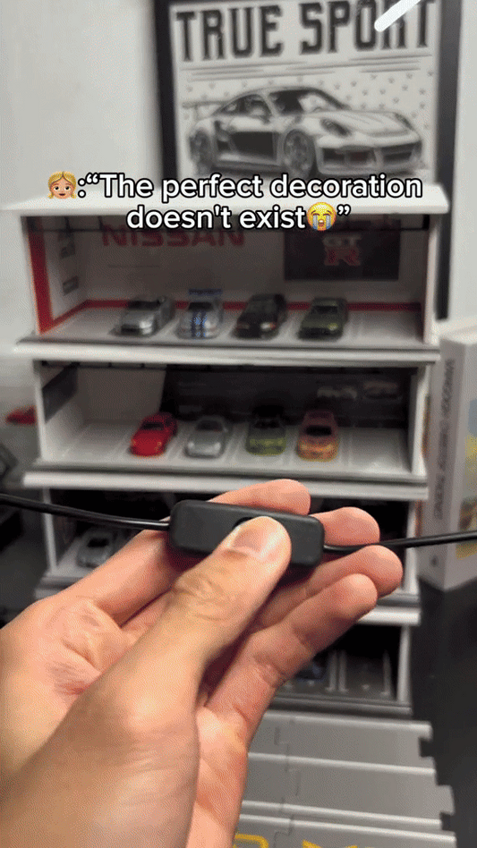 Hot Garage ParkIt Car Organizer